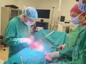 Sinsice büyüyen miyomlar gebeliğe engel olabiliyor
