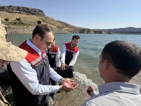 Şırnak’ta Ilısu Baraj Gölü’ne 800 bin yavru şabut balığı bırakıldı
