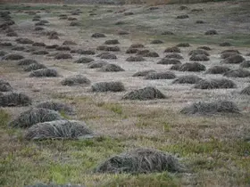 Şırnak’ta kış hazırlığı başladı
