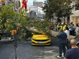 Şişli’de araçların üzerine devrilen çınar ağacı kaldırıldı
