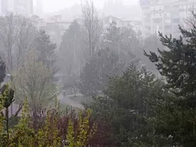 Sivas’ta gök gürültüsü ve kuvvetli yağış etkili oldu
