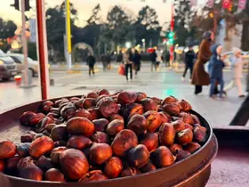 Soğuklar gelmeden kestane tezgaha çıktı

