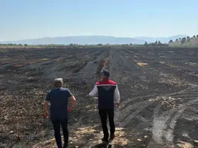 Söke’de yangından zarar gören tarım arazileri incelendi
