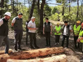 Soma ormanlarında yangın riskine karşı yoğun çalışma
