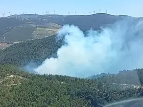 Soma’daki orman yangınına havadan ve karadan müdahale başladı
