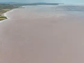 Son 66 yılın en fazla yağmur yağışı Tuz Gölü'ne can suyu oldu