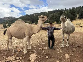 Son deveci Sarıkeçili: 73 yaşında atalarının geleneğini yaşatıyor
