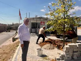 Sultanhisar’da ağaçlandırma çalışmaları sürüyor
