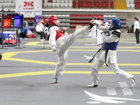 Taekwondo Doğu Grubu Müsabakaları Sivas’ta yapıldı
