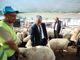 Tahmazoğlu’ndan vatandaşın yüzünü güldüren açıklama
