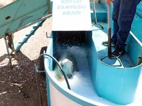 Talas’ta 16 bin koyun bu banyodan geçti
