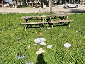 Tarihi alan çöplüğe döndü

