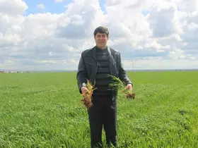 ’Tarım kenti’ Şanlıurfa yağışa doydu
