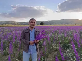 Tarlalar mora boyandı, çiçekler resim tablosunu andırdı
