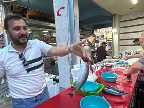 Tavşanlı Balık Pazarı’nda sezon hareketliliği
