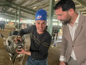 Tavşanlı hayvan pazarında bayram arefesi hareketliliği
