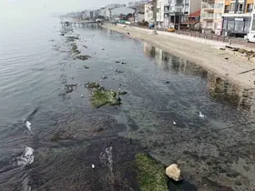Tekirdağ deniz çekildi ’Kral yolu’ ortaya çıktı
