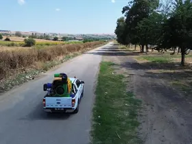 Tekirdağ il genelinde vektörlere karşı mücadele çalışmaları
