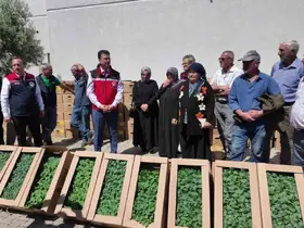 Tekirdağ’da 407 üreticiye 256 bin yazlık sebze fidesi dağıtıldı
