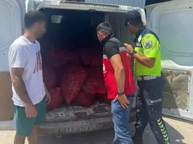Tekirdağ’da 700 kilogram kaçak midye ele geçirildi
