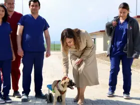 Tekirdağ’da can dostları için 10 bin metrekarelik yaşam alanı
