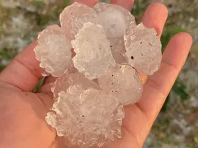 Tekirdağ’da dolu ayçiçeği ve karpuz tarlalarını vurdu
