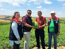 Tekirdağ’da ilk karpuz hasadı başladı

