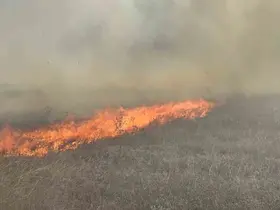 Tekirdağ’da mera yangını
