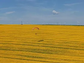 Tekirdağ’da sarı şölen: Paramotorlar sarı tarlaları gezdi
