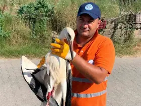 Temizlik personelinin duyarlılığı yaralı Leyleğe umut oldu
