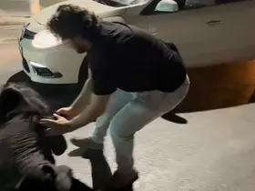 Ters yola girdi, ortalığı birbirine kattı: Gazetecilere tükürdü, polis aracına saldırdı
