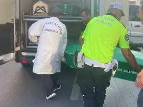 Tırla çarpışan motosiklet ardından kamyonete çarptı: 1 ölü, 1 yaralı
