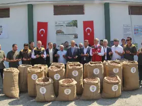 TMO Genel Müdürü Güldal: "Geçen yılın fındık mahsulü bu yıl kesinlikle alınmayacak"
