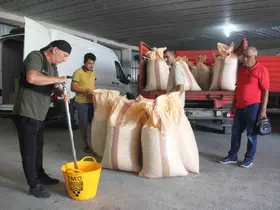 TMO, Ordu’da fındık alımına başladı
