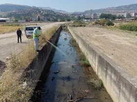 Tokat’ta sivrisinek ve haşerelere karşı kapsamlı ilaçlama seferberliği
