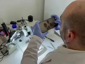 Tokat’ta uzmanından kene uyarısı: İklim düzensizliği ve küresel ısınma kene sezonunu uzatıyor
