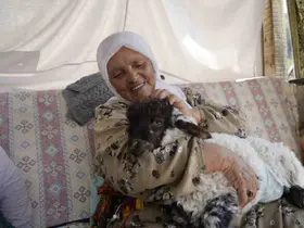 Torunu gibi büyüttüğü kuzu "Boncuk" evin neşe kaynağı oldu
