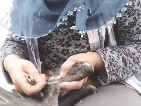 Trabzon’da karabatak kurtarma operasyonu gülümsetti
