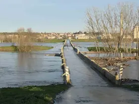 Tunca Nehri’nde turuncu alarm sürüyor, Sarayiçi’nde su yayılımı devam ediyor
