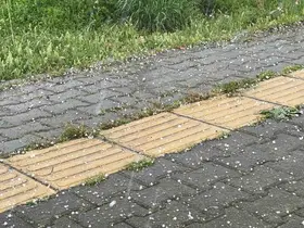 Tunceli’de gök gürültülü sağanak ve dolu yağışı etkili oldu
