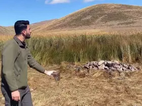 Tuzluca’da bulunan kerkenez doğaya bırakıldı
