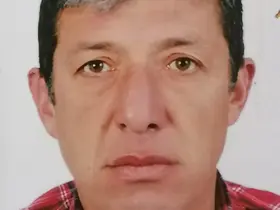 Uçurumdaki kazada hayatını kaybetti, arılar ekipleri yaklaştırmadı
