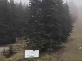 Uludağ’a sezonun ilk karı yağdı
