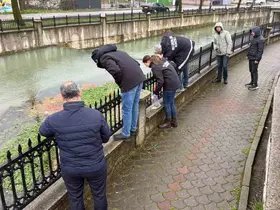 Uludere Çayı’nda binlerce ölü balık bulundu: Ekipler seferber oldu
