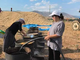 Üniversite öğrencileri yaz tatilinde tarlada ailelerine destek oluyor
