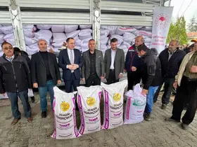Üreticilere yüzde 50 hibeli toplam 56 ton buğday tohumu dağıtıldı
