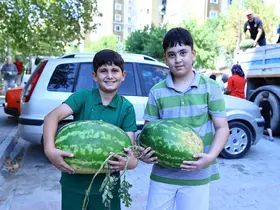 Üreticinin imdadına Başkan Çavuşoğlu yetişti
