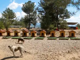 Uşak Belediyesi Başkan Vekili Özkan’dan hayvan bakımevine ziyaret
