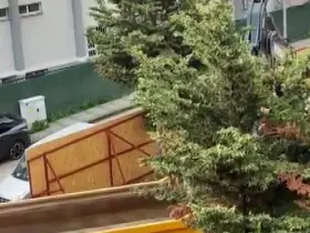 Üsküdar Belediyesi’nin ruhsat verdiği inşaat alanında ağaçlar kesildi

