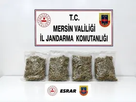 Uyuşturucu taciri 2 kilo 100 gram esrarla yakalandı
